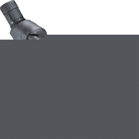 BUSHNELL SPOTTING SCOPE PRIME - 20-60X65 W/45 DEGREE EYE PC