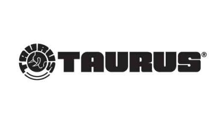 TAURUS GX4 9MM GRAY/TUNGSTEN 11+1   #